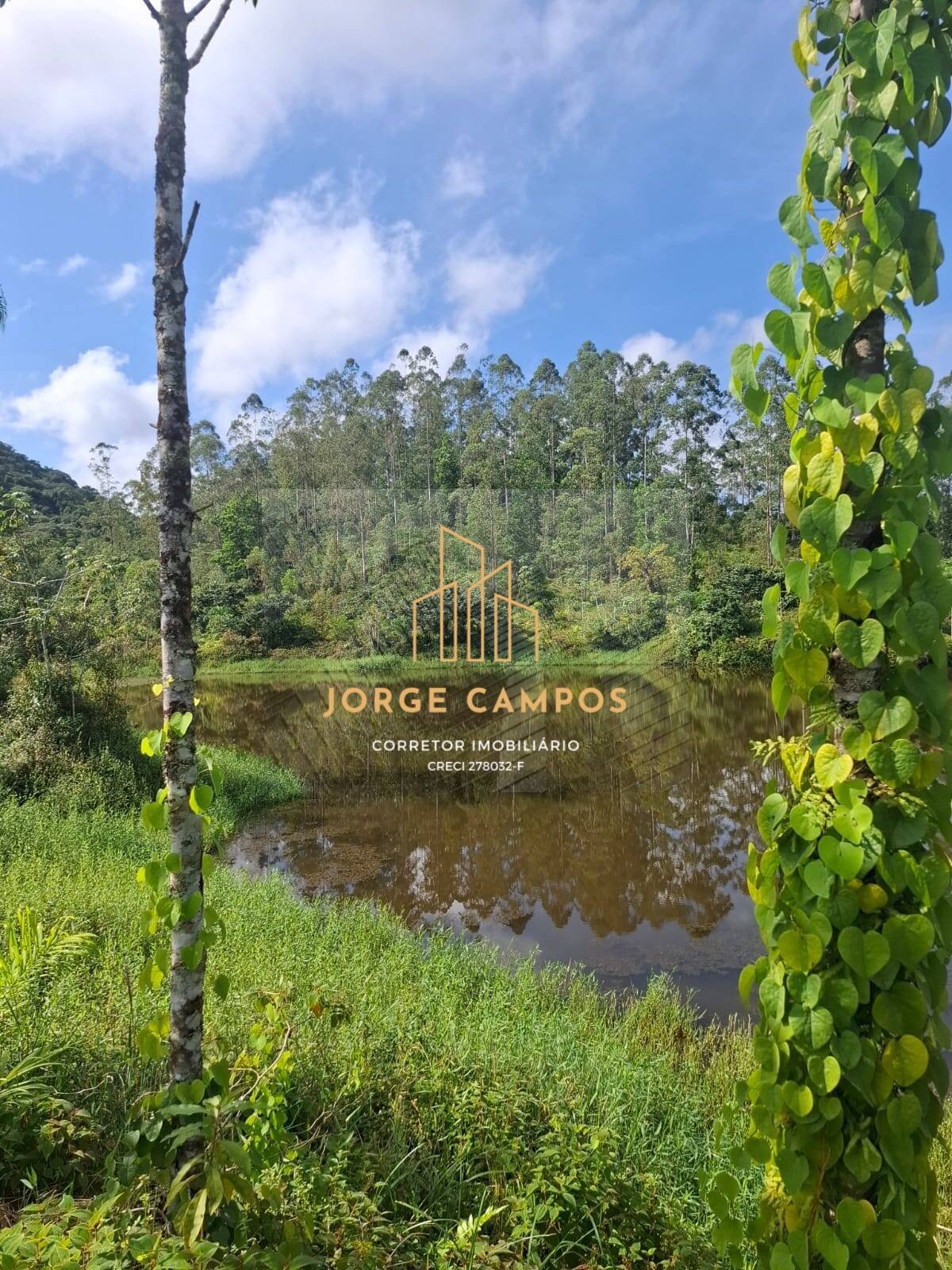 Fazenda, 250 m² - Foto 14