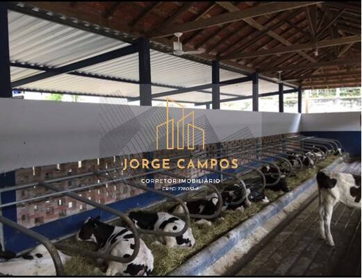 Fazenda, 78 m² - Foto 13