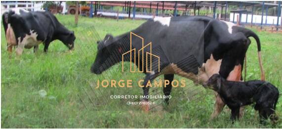 Fazenda, 78 m² - Foto 20