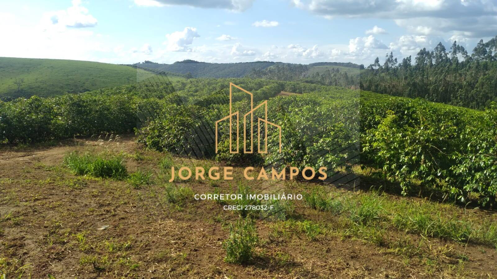 Fazenda-Sítio-Chácara, 790 m² - Foto 1