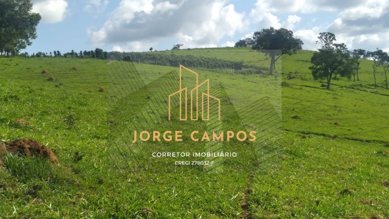 Fazenda-Sítio-Chácara, 790 m² - Foto 4