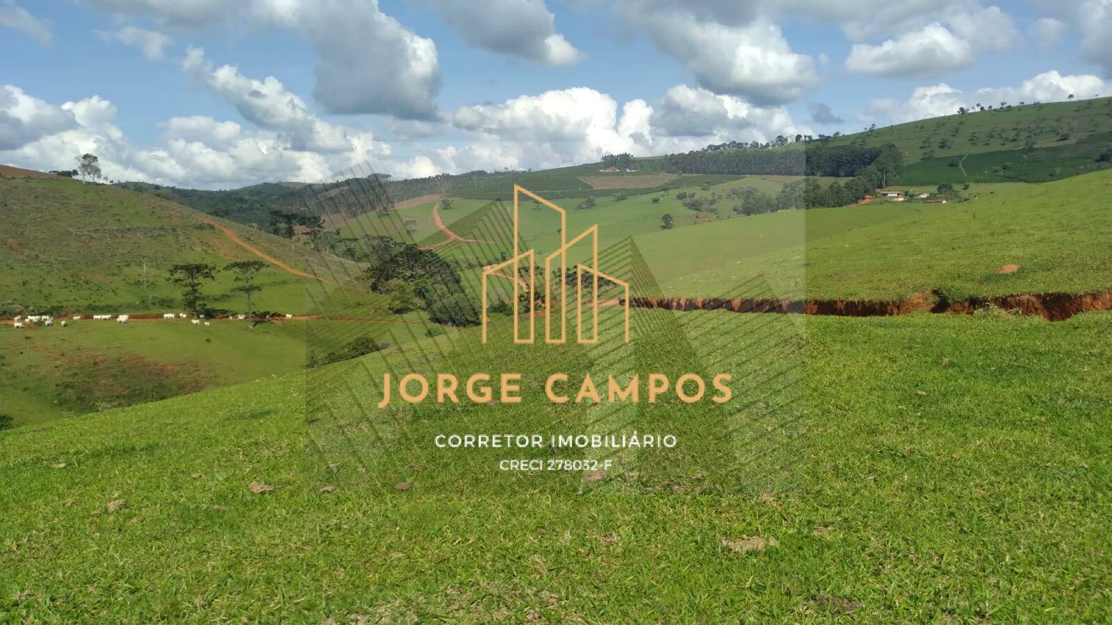 Fazenda-Sítio-Chácara, 790 m² - Foto 7