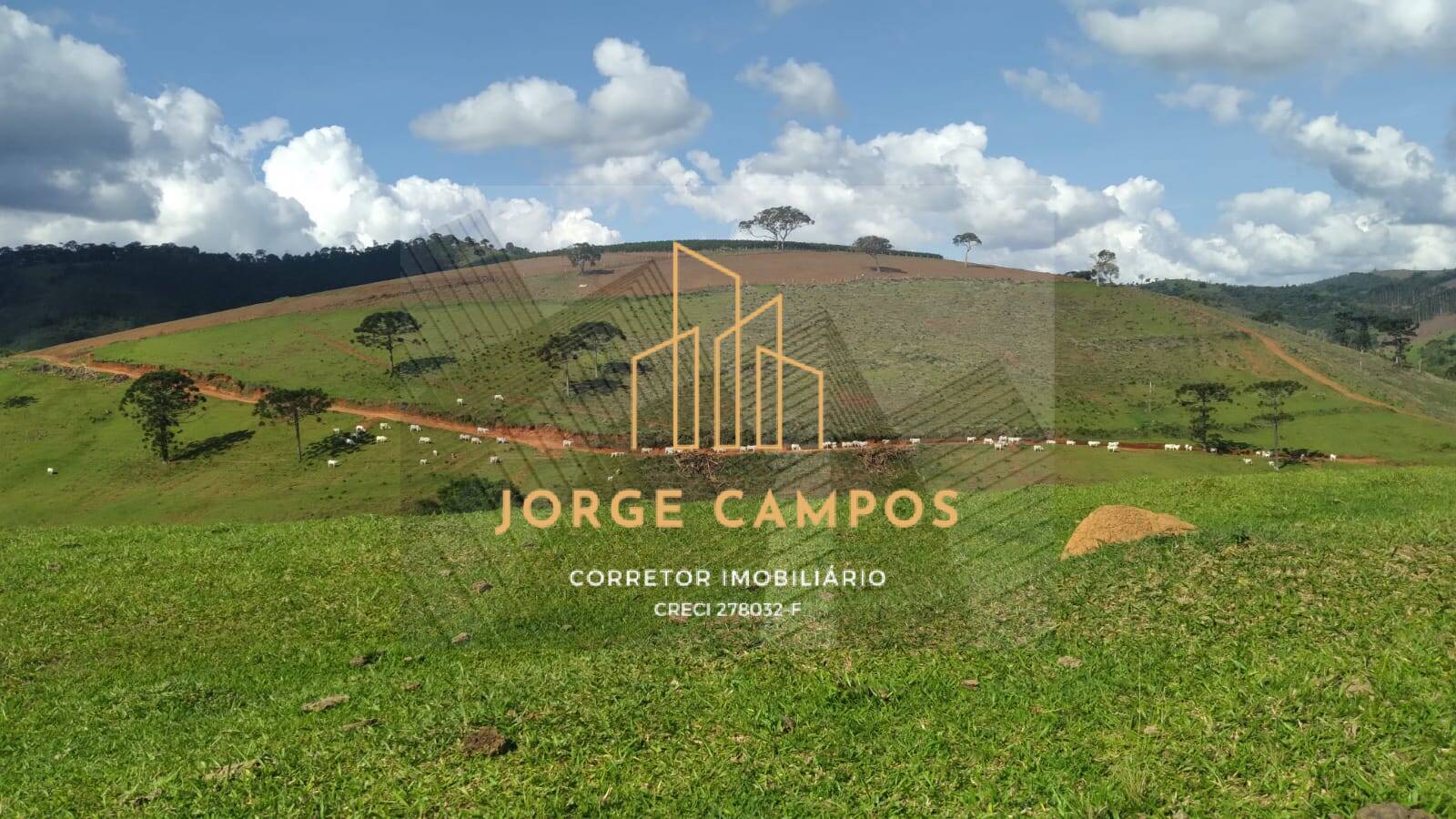 Fazenda-Sítio-Chácara, 790 m² - Foto 10