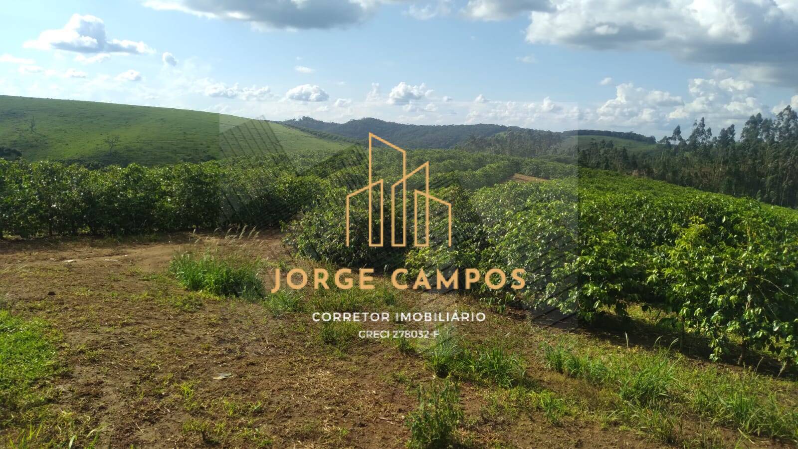 Fazenda-Sítio-Chácara, 790 m² - Foto 11