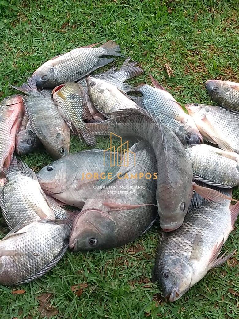 Terreno, 1057 m² - Foto 9