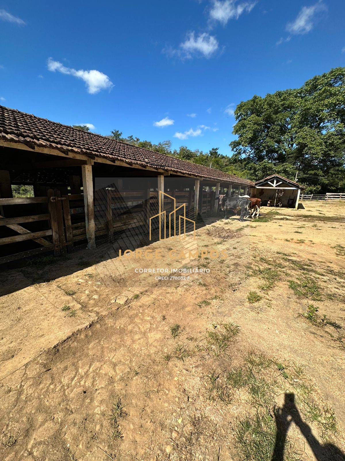 Fazenda, 300 m² - Foto 6