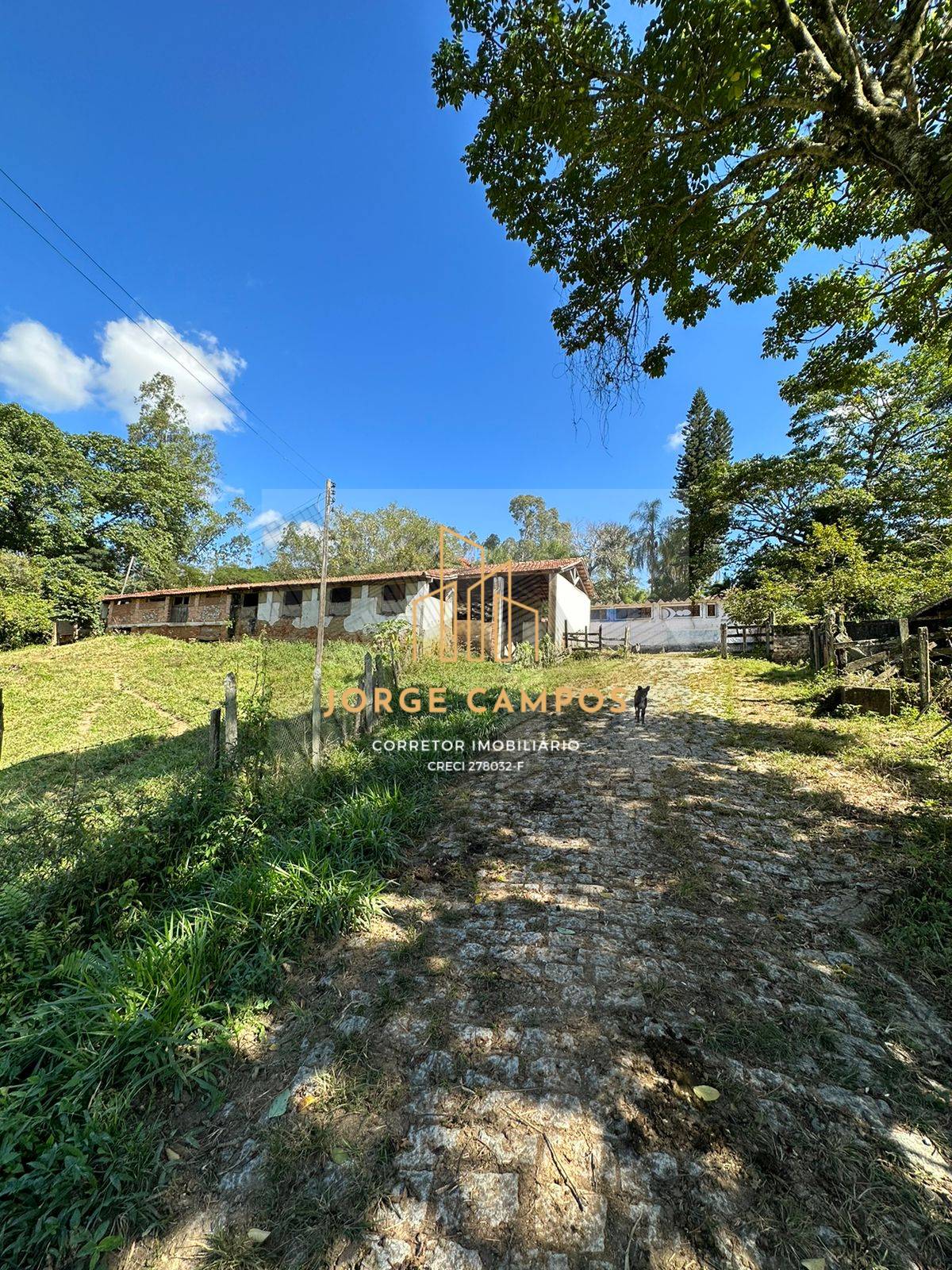 Fazenda, 300 m² - Foto 17