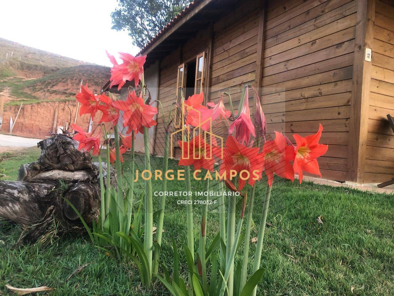 Chácara, 3 quartos, 1500 m² - Foto 4