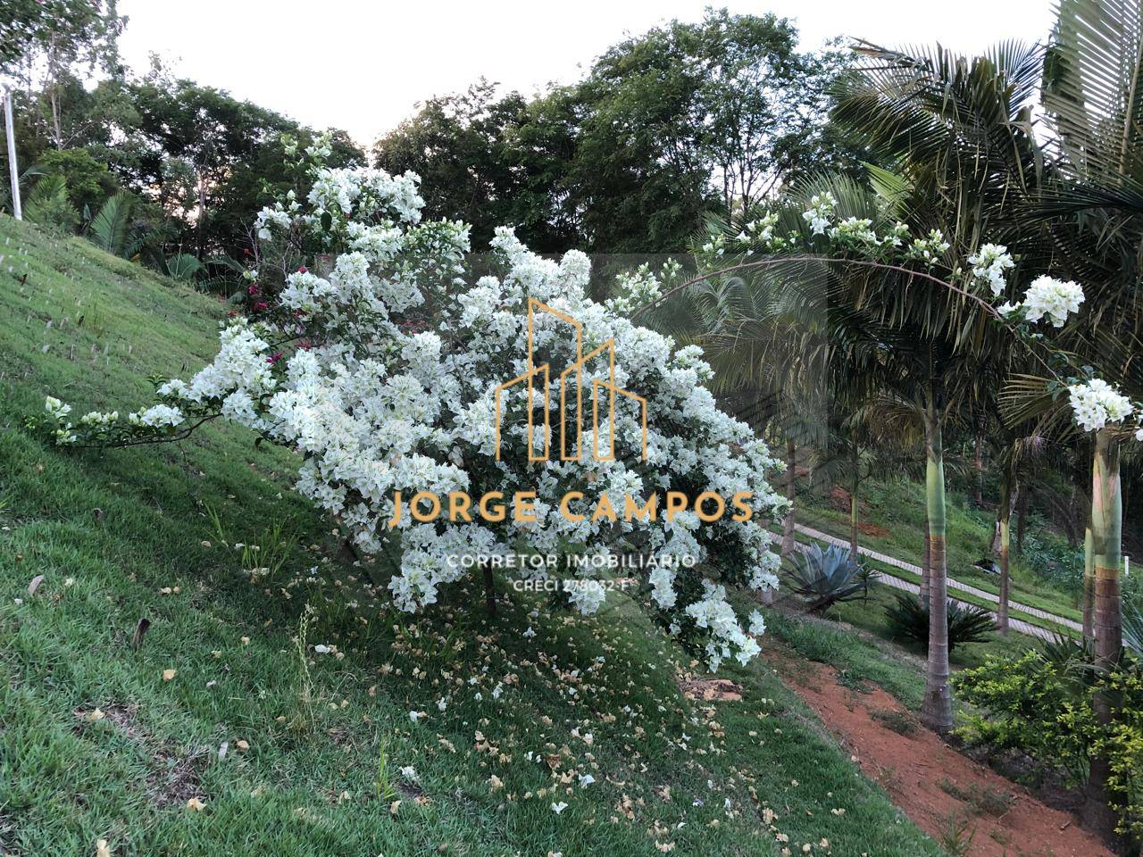 Chácara, 2 quartos, 6600 m² - Foto 10