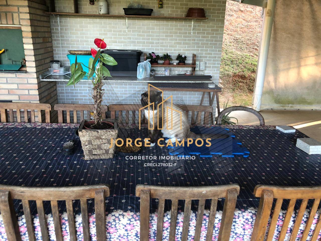 Chácara, 2 quartos, 6600 m² - Foto 5