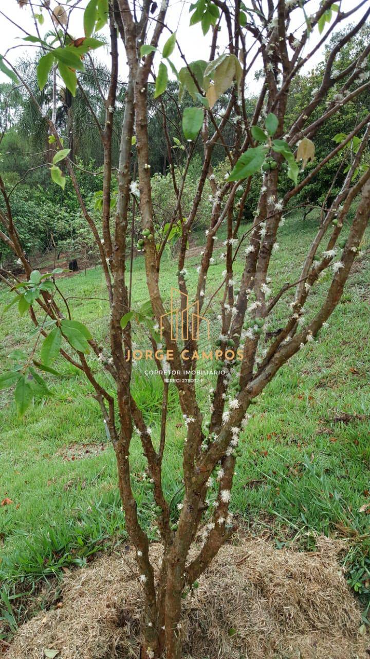 Chácara, 2 quartos, 6600 m² - Foto 11