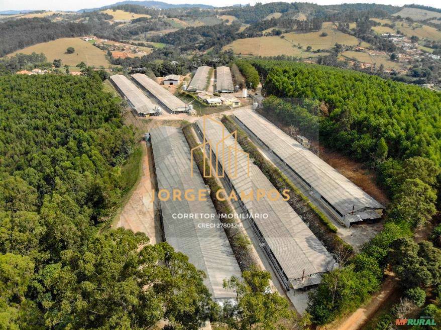 Terreno, 2 hectares - Foto 4