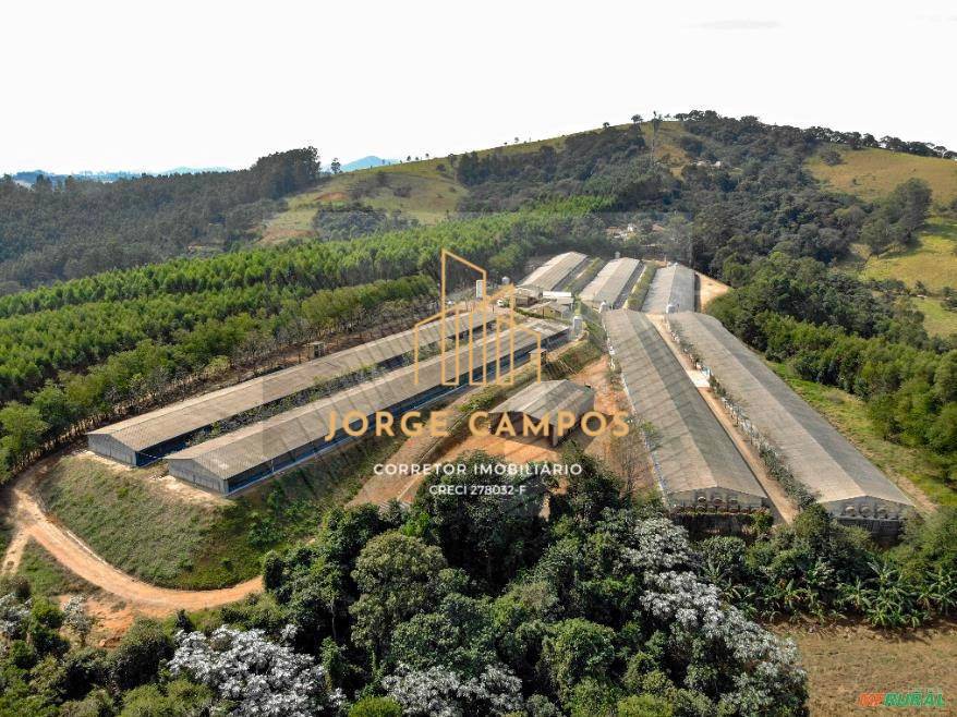 Terreno, 2 hectares - Foto 2