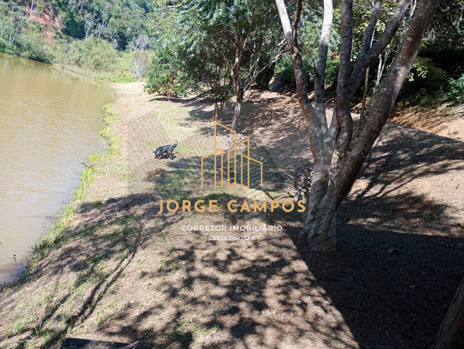 Chácara, 4 quartos, 3 hectares - Foto 32