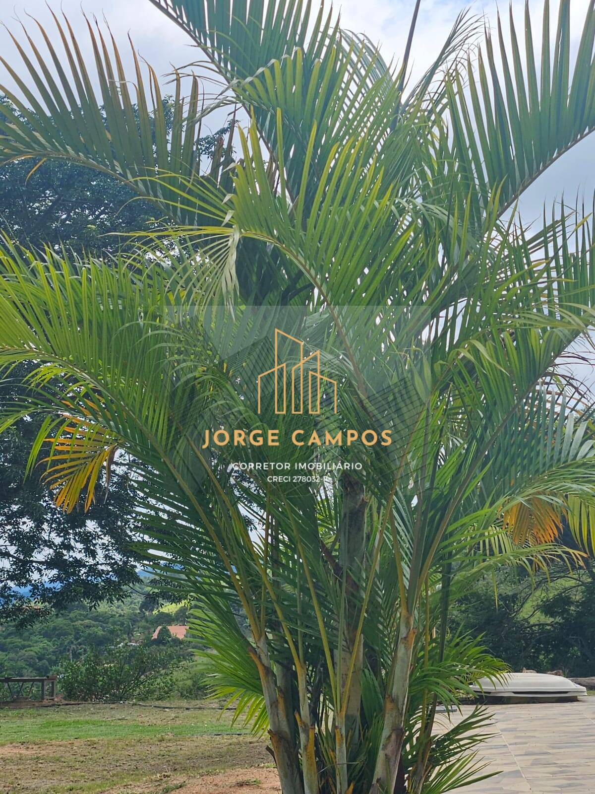 Chácara, 4 quartos, 3 hectares - Foto 34