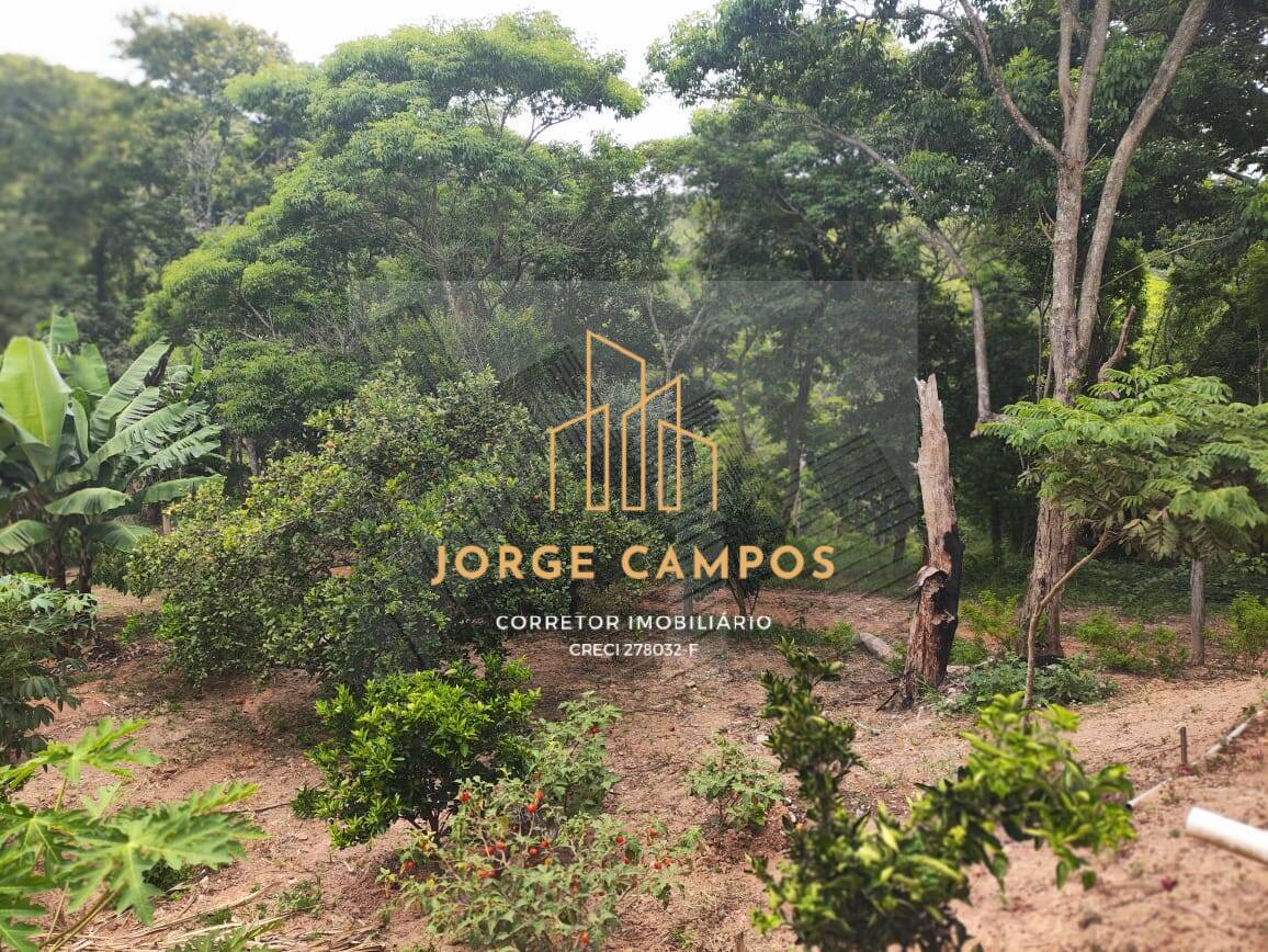 Chácara, 4 quartos, 3 hectares - Foto 35