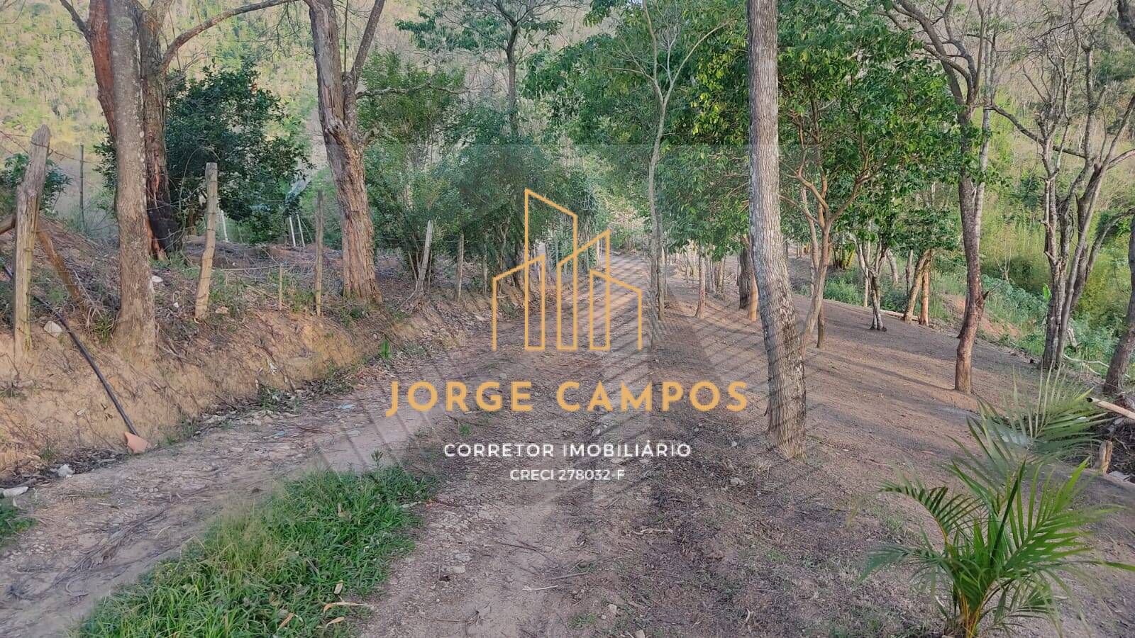 Chácara, 4 quartos, 3 hectares - Foto 36