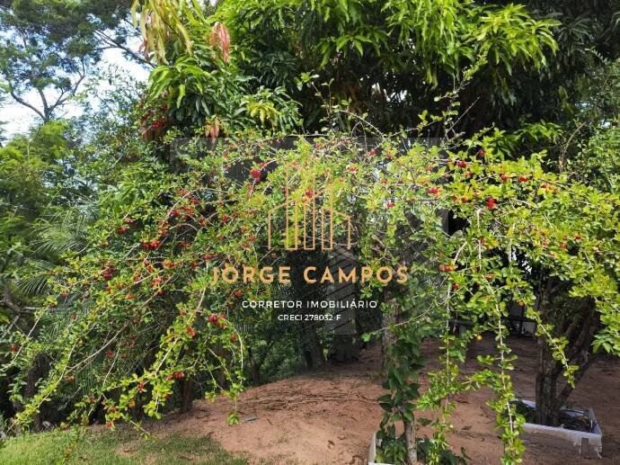 Chácara, 4 quartos, 3 hectares - Foto 37