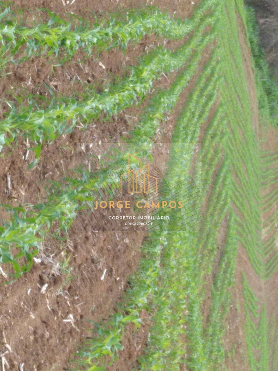 Fazenda, 92 m² - Foto 4