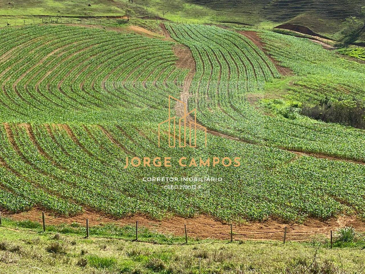 Fazenda, 92 m² - Foto 5