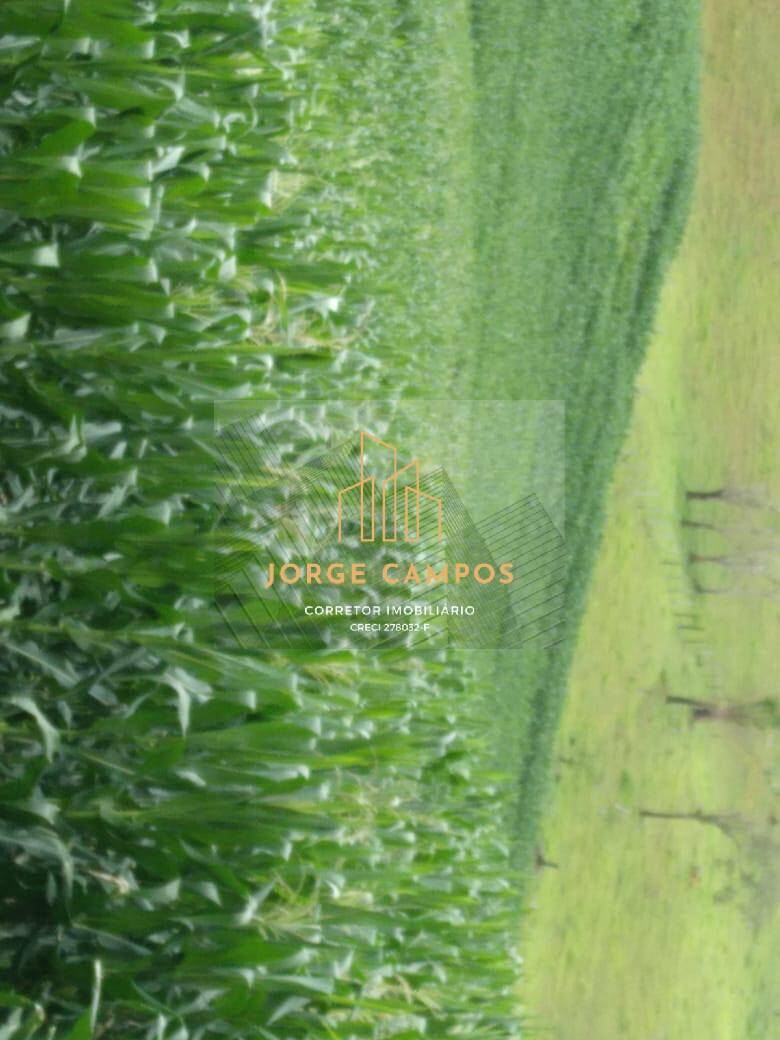 Fazenda, 92 m² - Foto 6